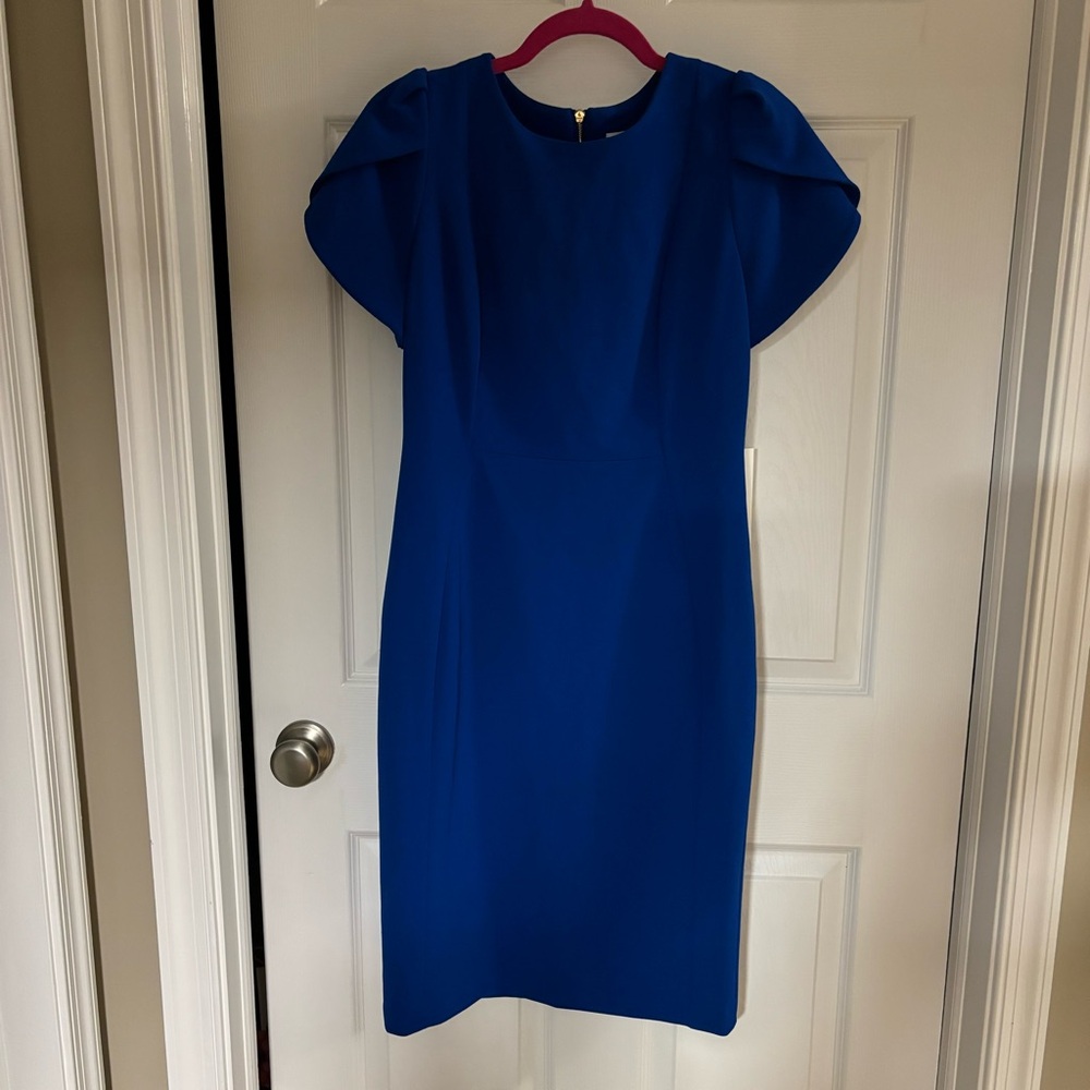 NWT Calvin Klein Tulip Sleeve Dress size 8